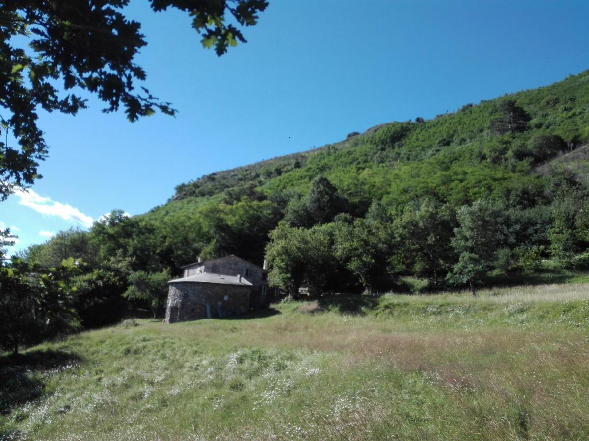 Apartmán Faggio Rotondo Neirone Exteriér fotografie
